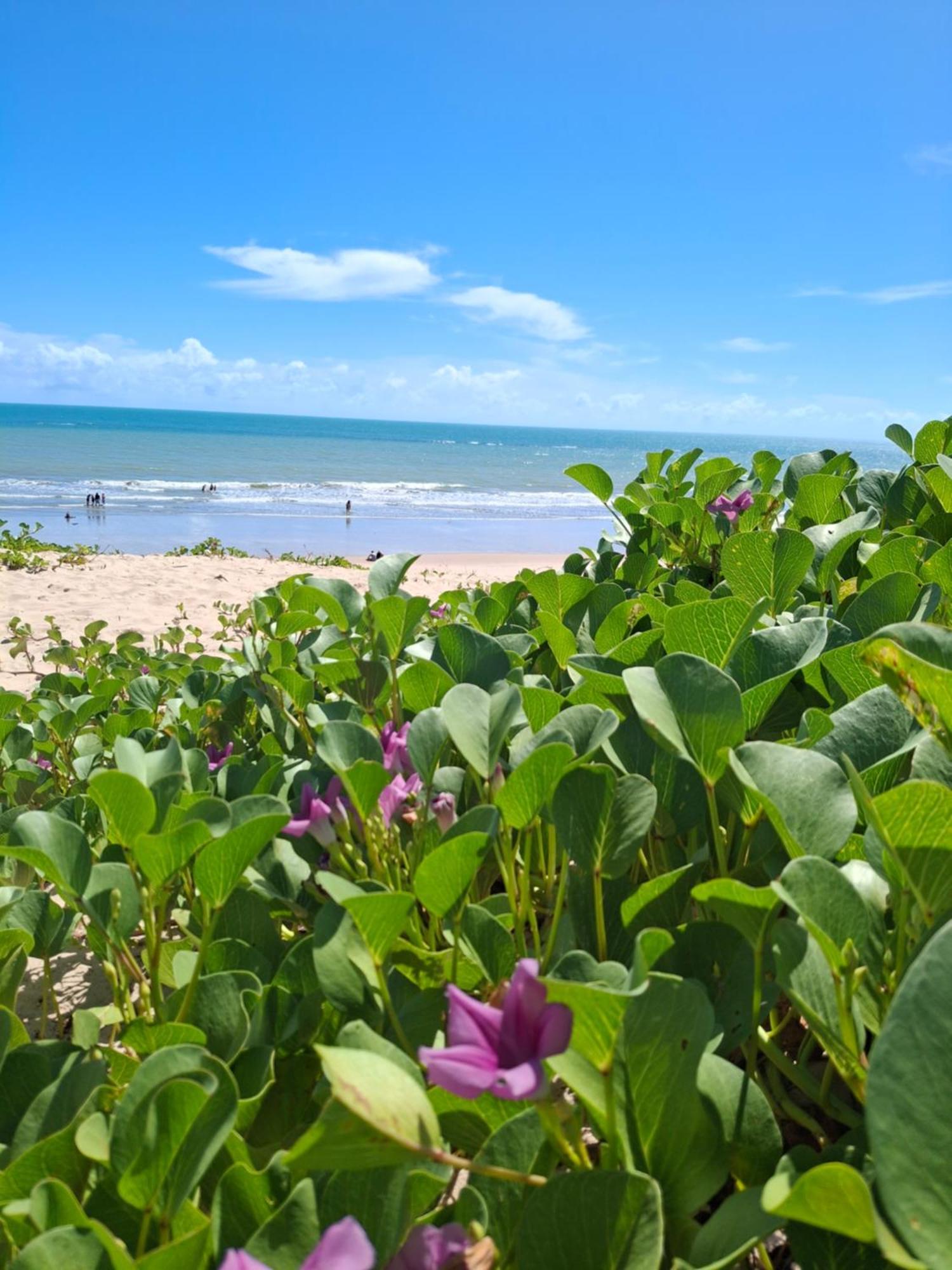 Manga Rosa Hospedagem Canoa Quebrada Eksteriør billede